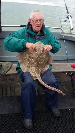 14 lb Thornback Ray by Alan