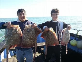 6 lb Thornback Ray by Cornelius and T farther and son