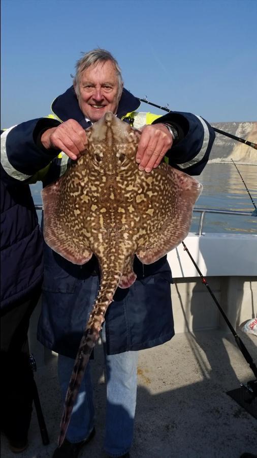 13 lb Thornback Ray by Unknown