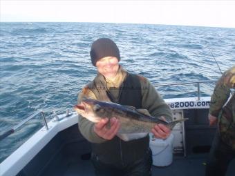 4 lb Pollock by Nigel Hall.