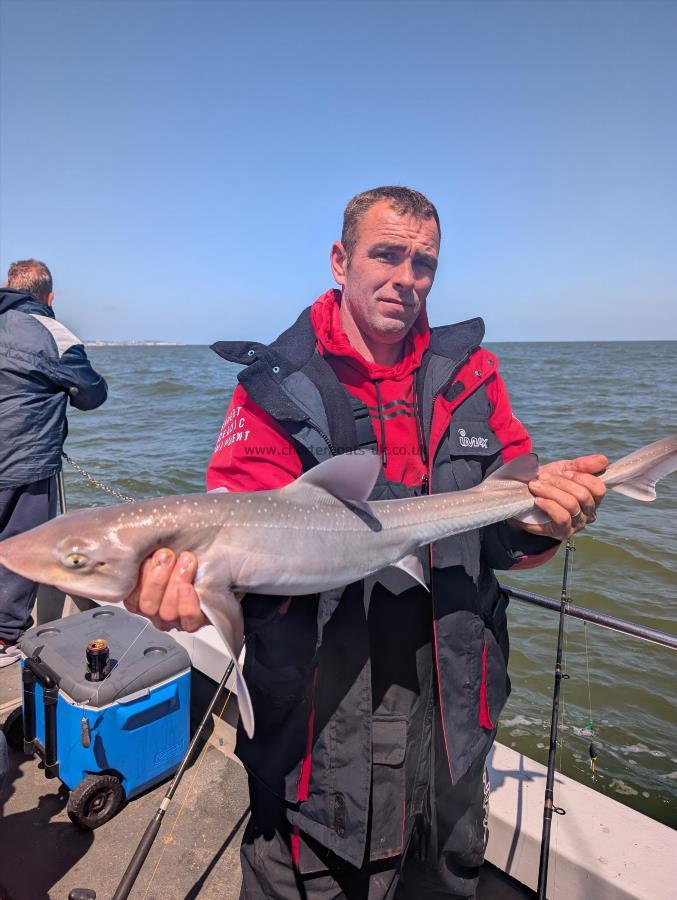 8 lb Smooth-hound by Ben