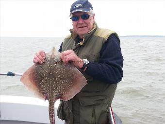 4 lb Thornback Ray by Collin