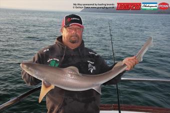 12 lb Starry Smooth-hound by Brooksy