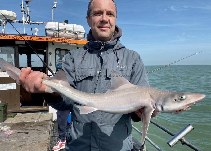 6 lb Smooth-hound (Common) by Unknown