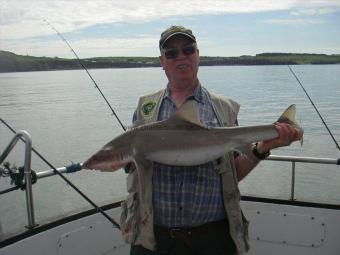 19 lb Starry Smooth-hound by Peter Hutchison