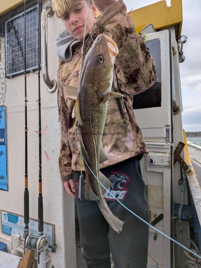 4 lb 3 oz Cod by Unknown