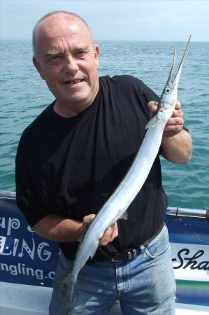 1 lb 12 oz Garfish by Dave Kingman