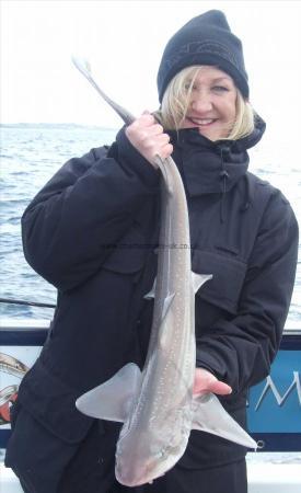 9 lb Starry Smooth-hound by Sian Newland