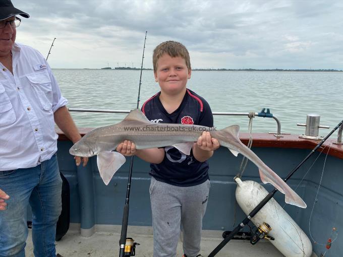 10 lb 8 oz Smooth-hound (Common) by Ted Rawe 11yrs