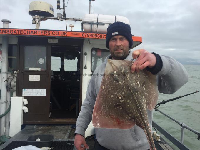 5 lb Thornback Ray by Unknown