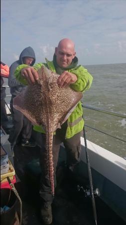 9 lb 12 oz Thornback Ray by Bob Marshall