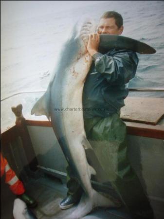 160 lb Blue Shark by Unknown
