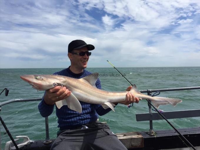 13 lb Smooth-hound (Common) by Unknown