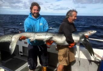 110 lb Blue Shark by Unknown