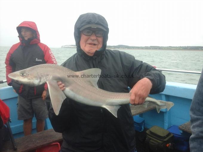 9 lb Smooth-hound (Common) by ALBERT