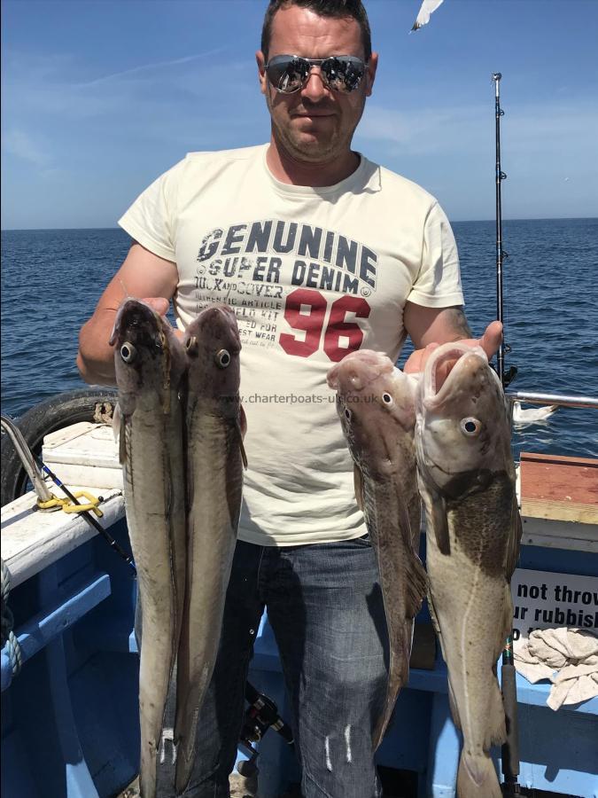 7 lb Cod by Alex from Beverley 24th june