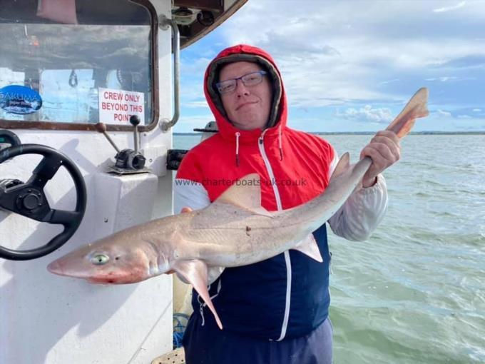 9 lb Smooth-hound by Unknown
