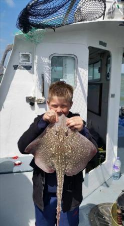 4 lb Common Skate by Dwayne