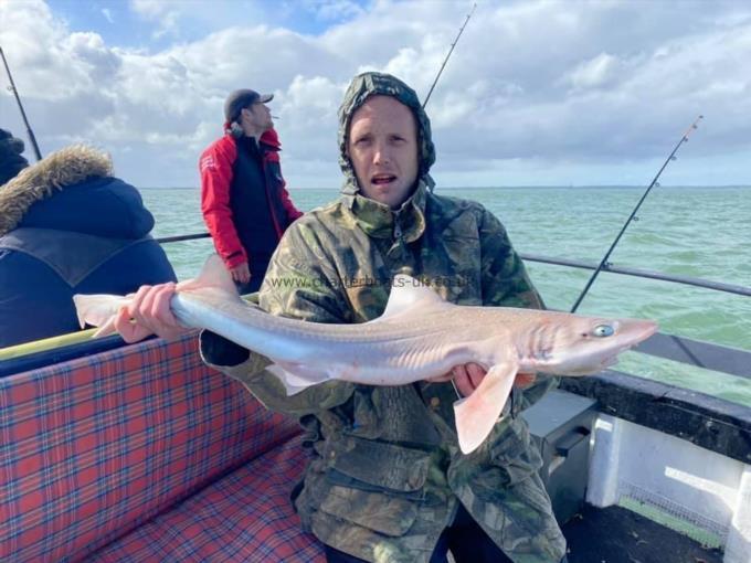 7 lb Smooth-hound by Unknown