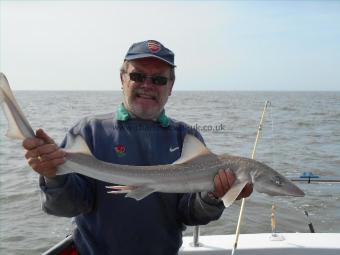 6 lb Starry Smooth-hound by Eric
