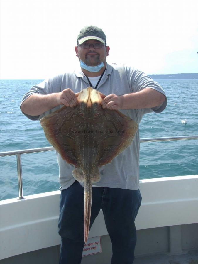 13 lb Undulate Ray by Simon Wilton