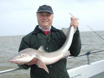 12 lb 1 oz Smooth-hound by terry