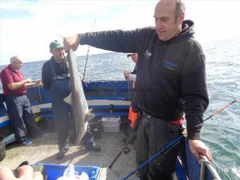 6 lb 8 oz Tope by caught by brian