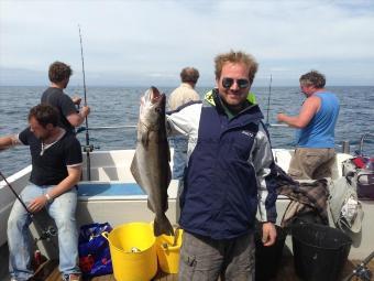 8 lb 8 oz Pollock by Unknown