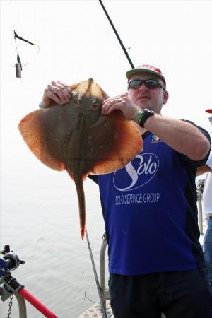 14 lb Blonde Ray by Owen Anthony