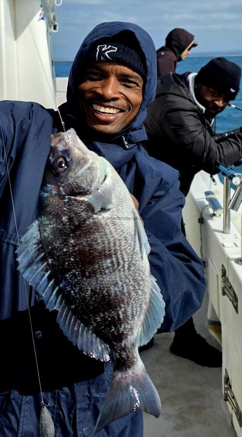 1 lb 10 oz Black Sea Bream by Unknown