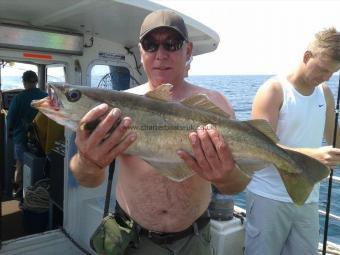 6 lb 4 oz Pollock by peter mansfield