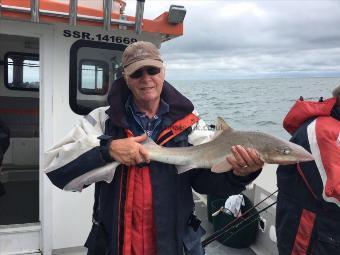 8 lb Smooth-hound (Common) by Roger Chase