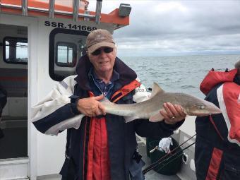 8 lb Smooth-hound by Roger Chase