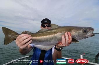 5 lb Pollock by Neil