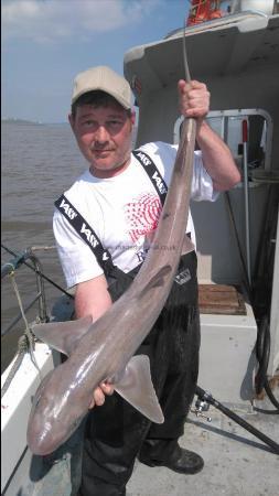 14 lb 8 oz Starry Smooth-hound by Robin tarr