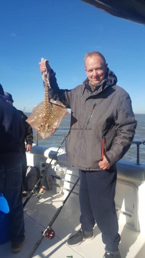 2.5 Kg Thornback Ray by Unknown