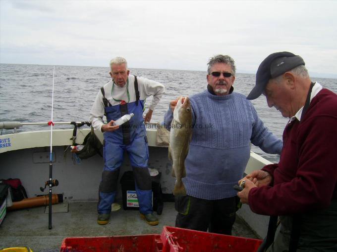 4 lb 6 oz Cod by Robin