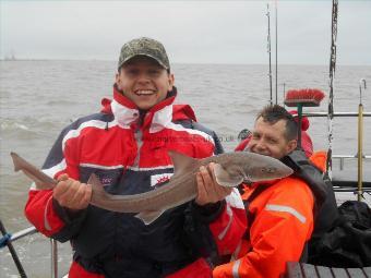 4 lb 5 oz Starry Smooth-hound by Robert