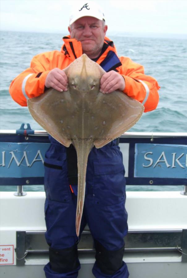 9 lb 4 oz Small-Eyed Ray by Mark Bailey