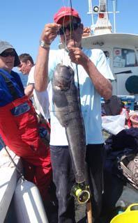 6 lb 8 oz Wolf Fish by peter downs