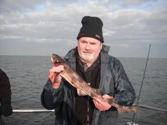 2 lb 4 oz Lesser Spotted Dogfish by Pat from Hull
