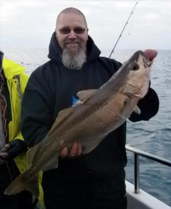 12 lb 8 oz Pollock by Steve