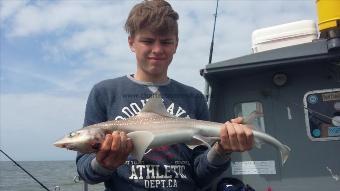 3 lb 9 oz Smooth-hound by Ash