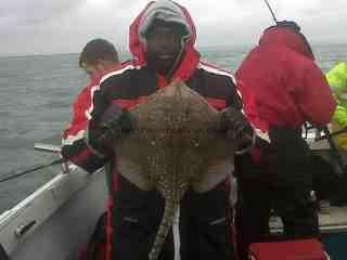 11 lb 2 oz Thornback Ray by Darren from East London