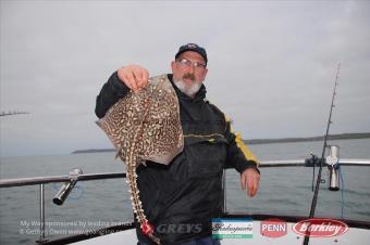 6 lb Thornback Ray by Steve