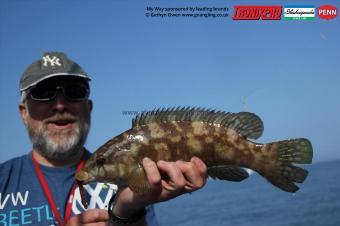 2 lb Ballan Wrasse by Graeme