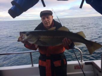 12 lb 3 oz Pollock by Richard Bagg