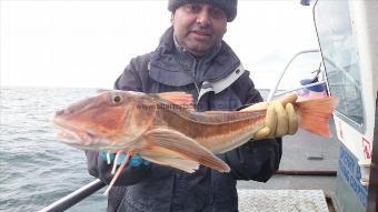 6 lb 2 oz Tub Gurnard by Bharat from London