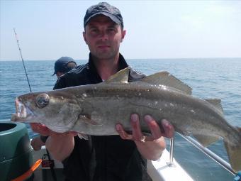 3 lb 6 oz Pollock by Jon Himpfen