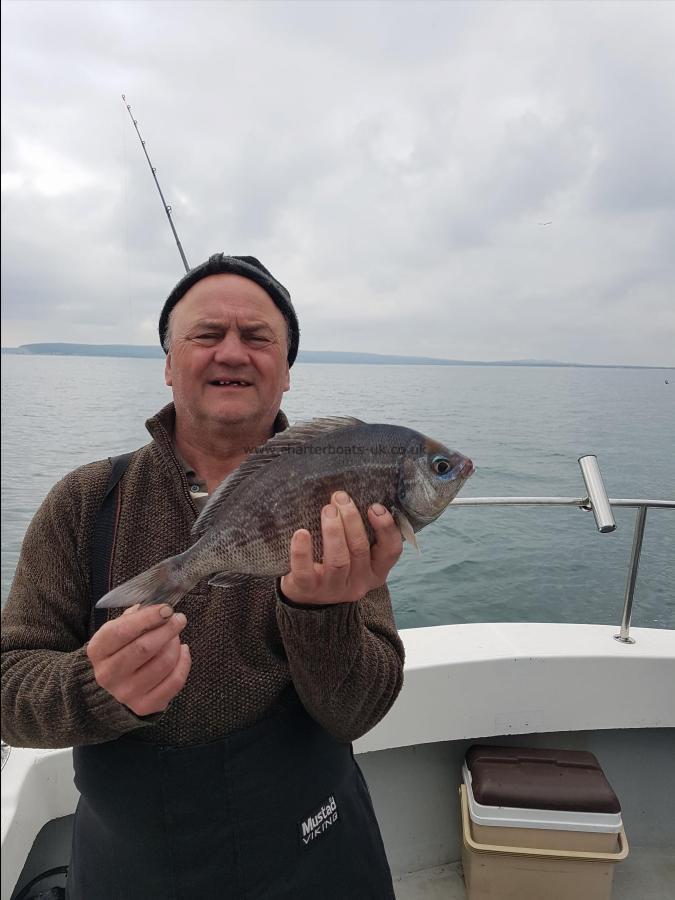 1 lb 10 oz Black Sea Bream by Garry